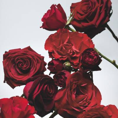 Jo Malone London Red Roses Bath Oil 250ml | SEPHORA UK