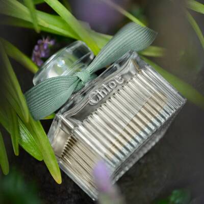 Chloe CREME DE LA ROSE ローズエマルジョン Chloé Rose Naturelle Intense Eau de Parfum | SEPHORA UK