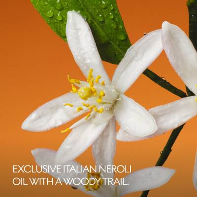 Gucci The Alchemist's Garden Fiori di Neroli Eau de Parfum 100ml