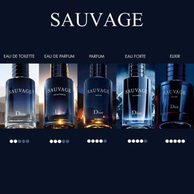 DIOR Sauvage Eau de Toilette | SEPHORA UK