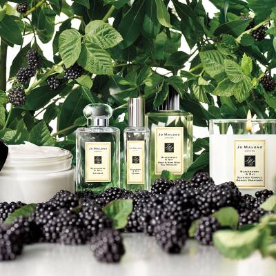 Jo Malone London Blackberry & Bay - Eau de Cologne | SEPHORA UK