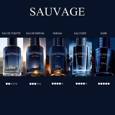 DIOR Sauvage Parfum | SEPHORA UK