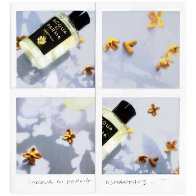 Acqua di Parma Signatures of the Sun Osmanthus - Eau de Parfum