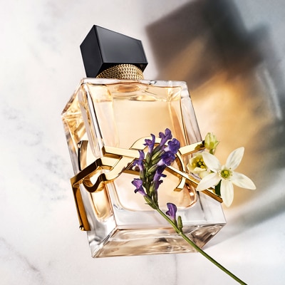 Yves st laurent sephora cheap