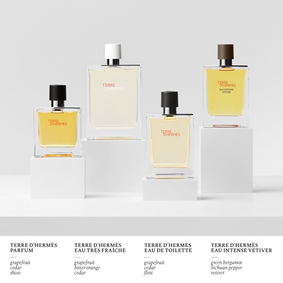 Hermes Terre d Hermes Pure Perfume 75ml