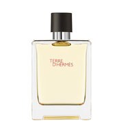 Hermès Terre d'Hermès Eau de Toilette 100ml