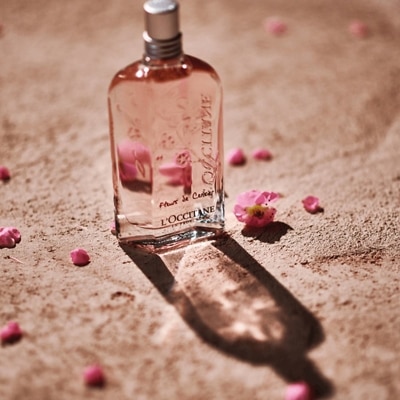 Flower Blossom Paris Perfume L'Occitane Cherry Blossom Eau De