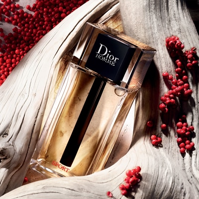 Sport dior homme hot sale