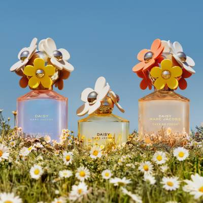 Perfume daisy fresh new arrivals