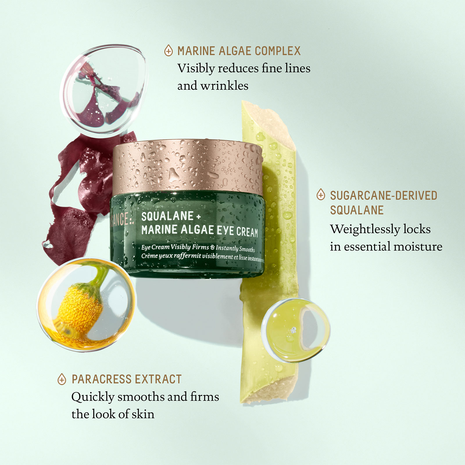 BIOSSANCE Squalane   Marine Algae Eye Cream 15ml | SEPHORA UK