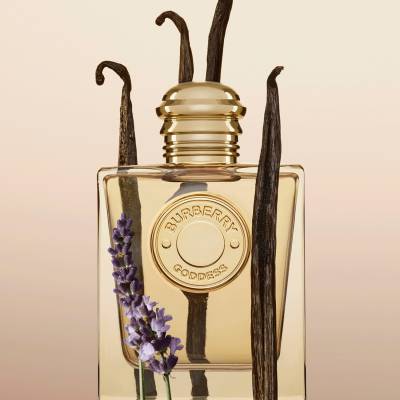 Burberry her 50 ml sephora shop