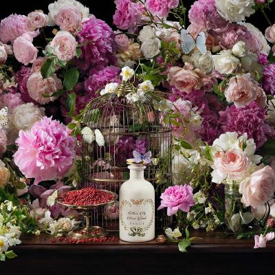 The alchemist garden discount