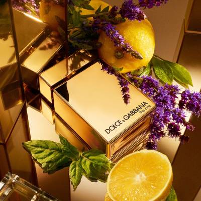 Dolce & gabbana the one sephora clearance