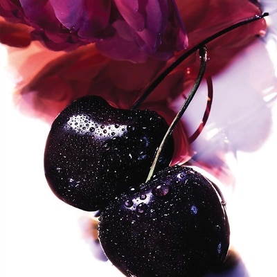Prix parfum la petite robe noire sephora outlet