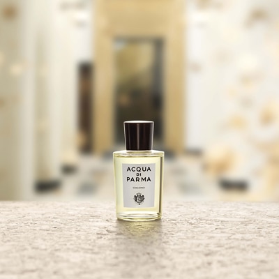Perfume acqua di store