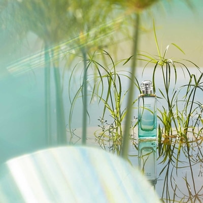 Hermes Un Jardin sur le Nil Eau de Toilette 50ml SEPHORA UK