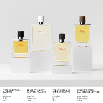 Eau vetiver intense outlet