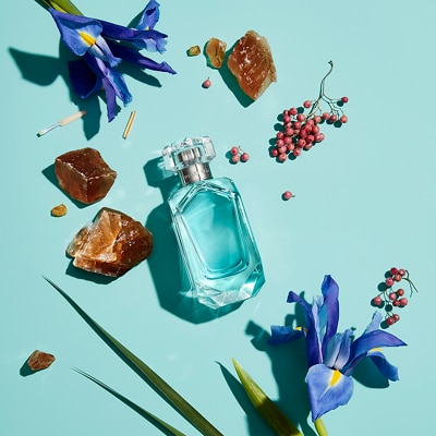Tiffany & co all you need shop